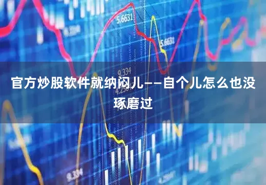 官方炒股软件就纳闷儿——自个儿怎么也没琢磨过