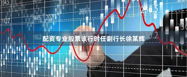 配资专业股票该行时任副行长徐某辉