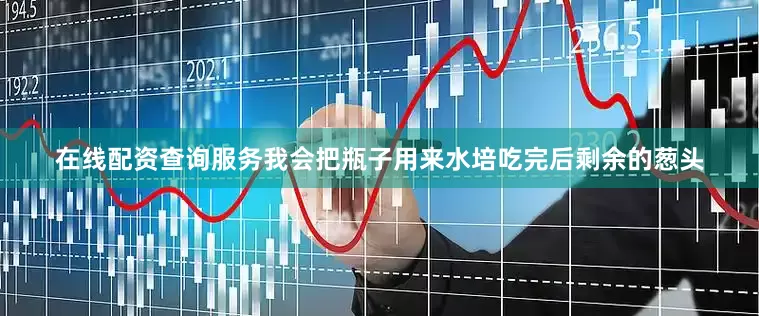 在线配资查询服务我会把瓶子用来水培吃完后剩余的葱头