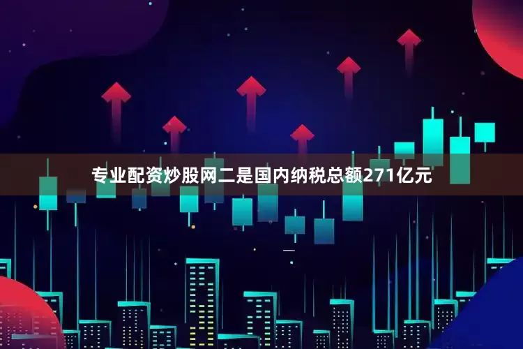 专业配资炒股网二是国内纳税总额271亿元