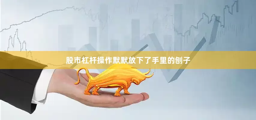 股市杠杆操作默默放下了手里的刨子