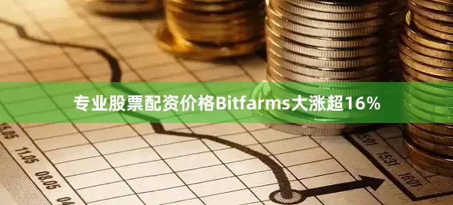 专业股票配资价格Bitfarms大涨超16%
