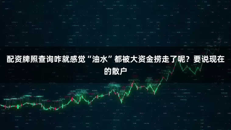 配资牌照查询咋就感觉“油水”都被大资金捞走了呢？要说现在的散户