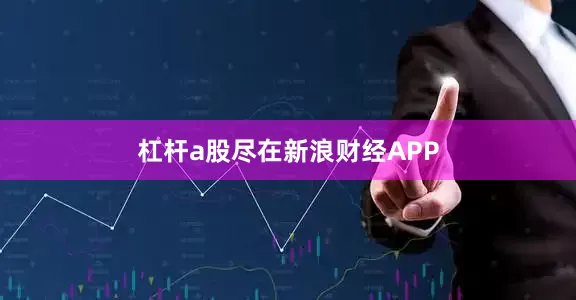 杠杆a股尽在新浪财经APP